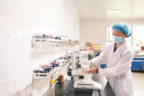 罗晓红 以新材料技术研发，为企业发展插上科技的翅膀