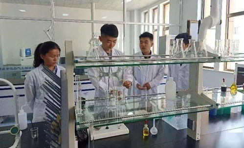 科技为稀土新材料加工基地披“绿装” 新材料技术研发引领绿色发展